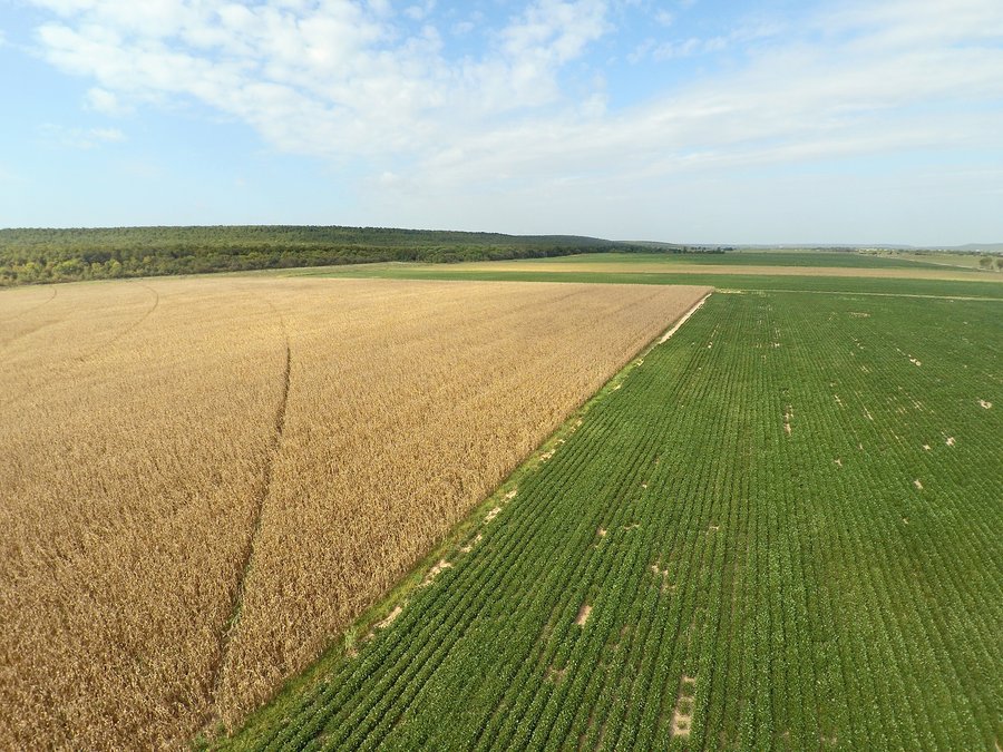 REAL ESTATE AUCTION - 1,000+/- ACRES OFFERED IN 10 TRACTS IN PITTSBURG CO., OKLAHOMA